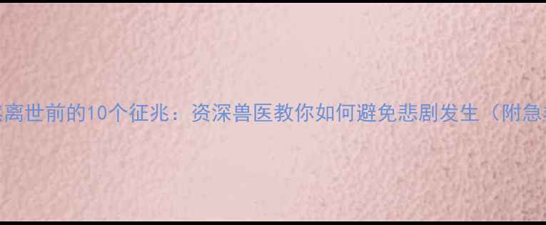 图片 猫咪突然离世前的10个征兆：资深兽医教你如何避免悲剧发生（附急救指南）