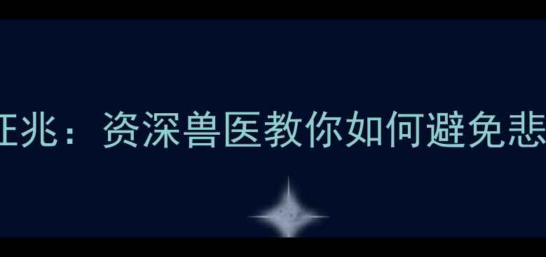图片 猫咪突然离世前的10个征兆：资深兽医教你如何避免悲剧发生（附急救指南）1