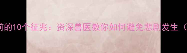 图片 猫咪突然离世前的10个征兆：资深兽医教你如何避免悲剧发生（附急救指南）2