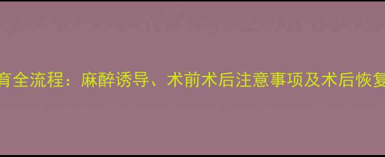 图片 猫咪绝育全流程：麻醉诱导、术前术后注意事项及术后恢复全攻略
