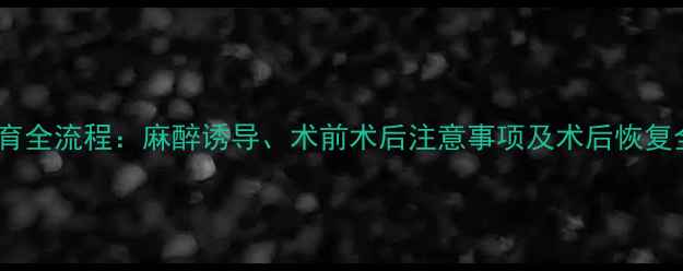 图片 猫咪绝育全流程：麻醉诱导、术前术后注意事项及术后恢复全攻略1