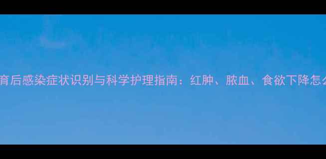 图片 猫咪绝育后感染症状识别与科学护理指南：红肿、脓血、食欲下降怎么办？1