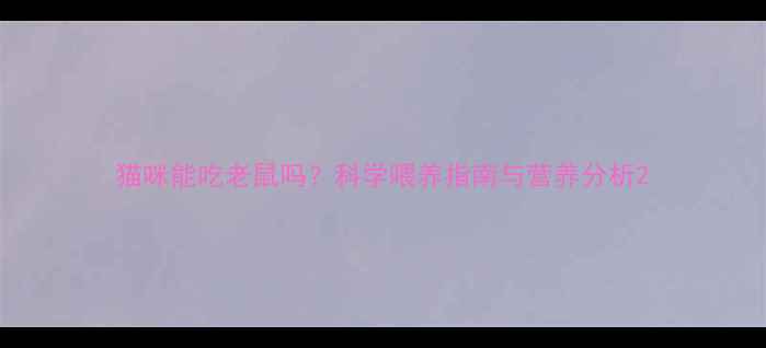 图片 猫咪能吃老鼠吗？科学喂养指南与营养分析2