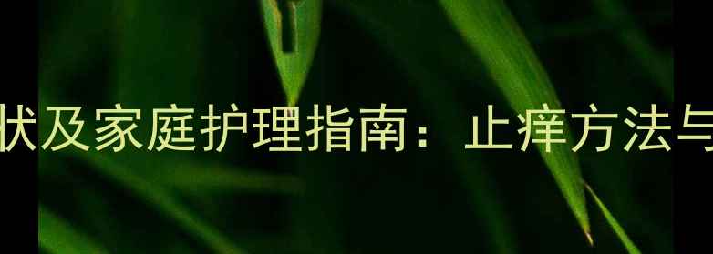 图片 猫咪过敏症状及家庭护理指南：止痒方法与预防措施全