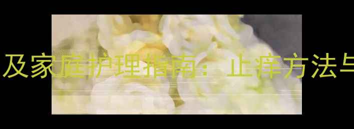 图片 猫咪过敏症状及家庭护理指南：止痒方法与预防措施全2