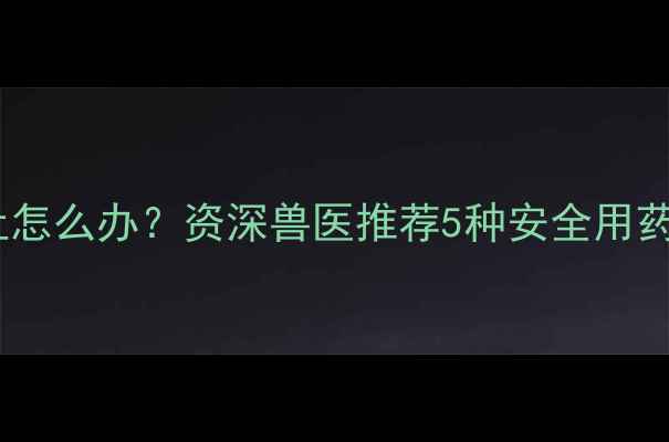 图片 猫咪频繁呕吐怎么办？资深兽医推荐5种安全用药+7大诱因全1