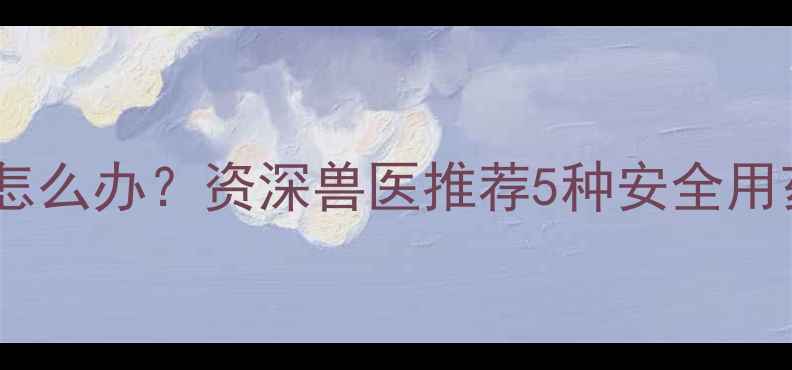 图片 猫咪频繁呕吐怎么办？资深兽医推荐5种安全用药+7大诱因全2