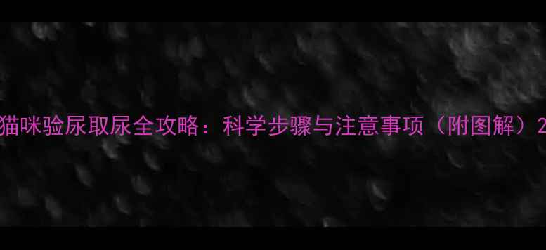 图片 猫咪验尿取尿全攻略：科学步骤与注意事项（附图解）2