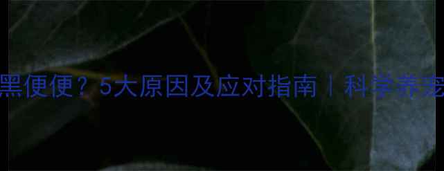 图片 猫咪黑便便？5大原因及应对指南｜科学养宠必看