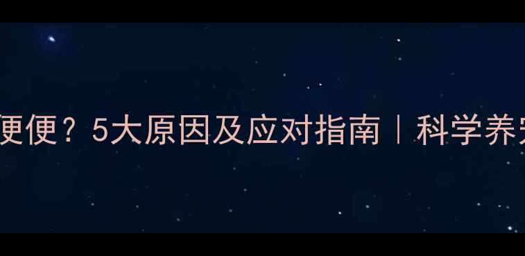 图片 猫咪黑便便？5大原因及应对指南｜科学养宠必看1