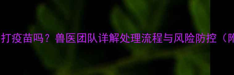 图片 猫抓伤后必须打疫苗吗？兽医团队详解处理流程与风险防控（附自救指南）1