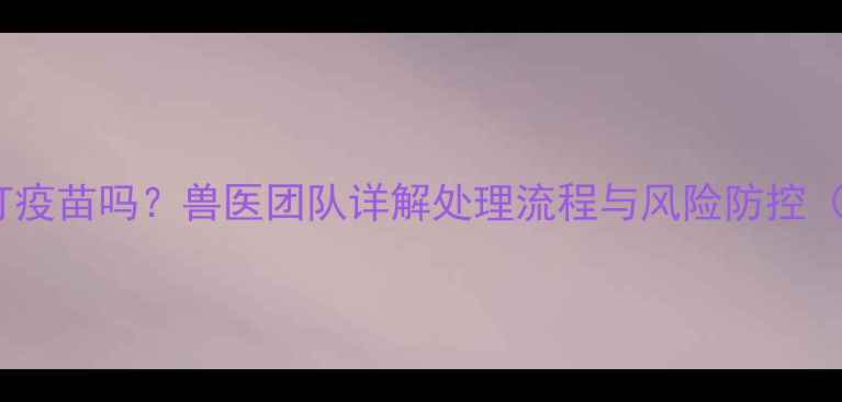 图片 猫抓伤后必须打疫苗吗？兽医团队详解处理流程与风险防控（附自救指南）2