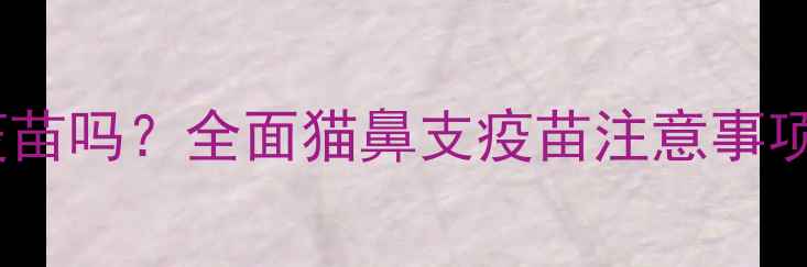 图片 猫鼻支能打疫苗吗？全面猫鼻支疫苗注意事项及预防措施1