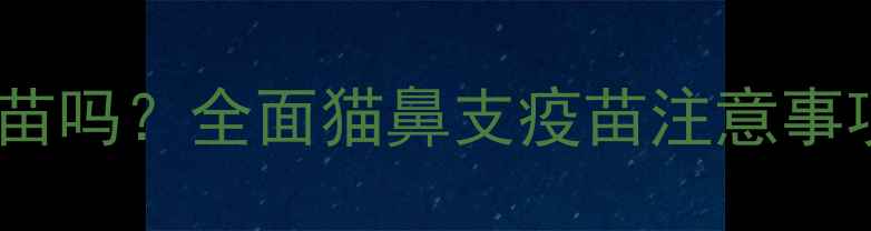 图片 猫鼻支能打疫苗吗？全面猫鼻支疫苗注意事项及预防措施2