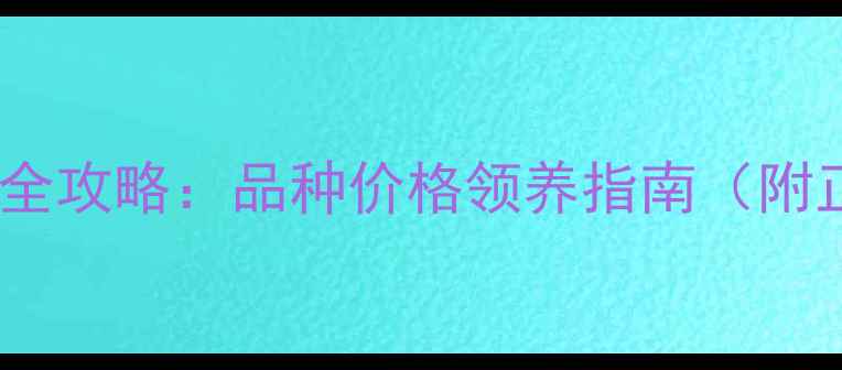 图片 玉溪宠物狗出售全攻略：品种价格领养指南（附正规渠道推荐）2