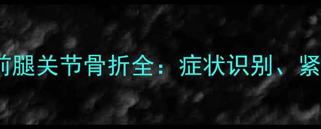 图片 症状+解决方案泰迪犬前腿关节骨折全：症状识别、紧急处理与专业治疗方案