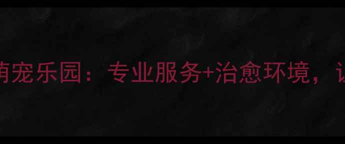 图片 盐城宠物店探店派多格萌宠乐园：专业服务+治愈环境，让毛孩子幸福感翻倍！🐾