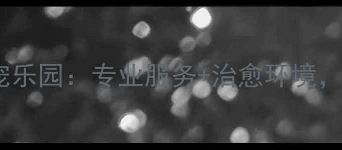 图片 盐城宠物店探店派多格萌宠乐园：专业服务+治愈环境，让毛孩子幸福感翻倍！🐾1