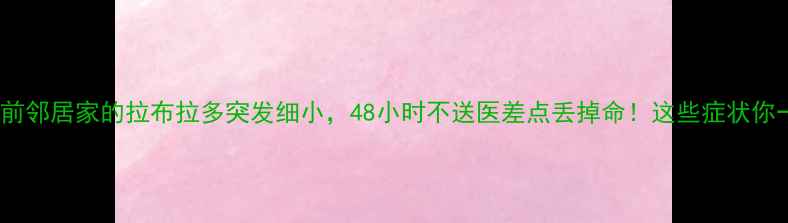 图片 真实案例3月前邻居家的拉布拉多突发细小，48小时不送医差点丢掉命！这些症状你一定要认准！
