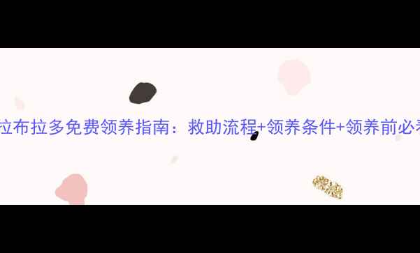 图片 石家庄拉布拉多免费领养指南：救助流程+领养条件+领养前必看清单2