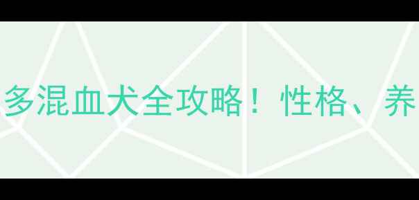 图片 秋田拉布拉多混血犬全攻略！性格、养护、颜值🐾