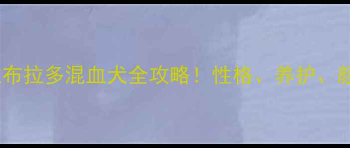 图片 秋田拉布拉多混血犬全攻略！性格、养护、颜值🐾1