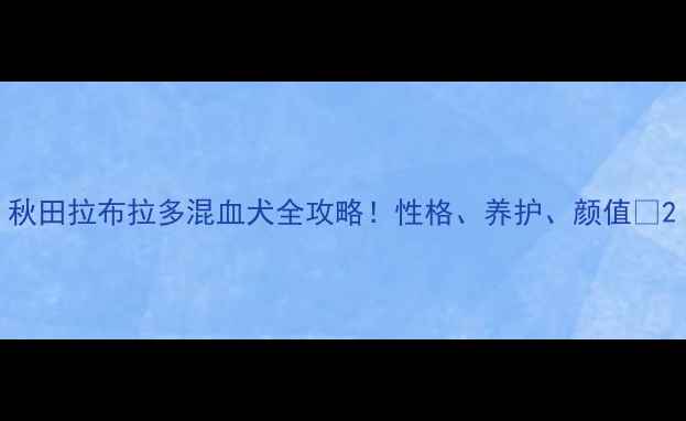 图片 秋田拉布拉多混血犬全攻略！性格、养护、颜值🐾2