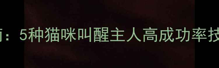 图片 科学唤醒指南：5种猫咪叫醒主人高成功率技巧与行为学1