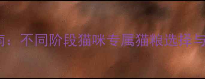 图片 科学喂养指南：不同阶段猫咪专属猫粮选择与营养配比全2