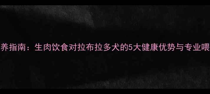 图片 科学喂养指南：生肉饮食对拉布拉多犬的5大健康优势与专业喂养方案