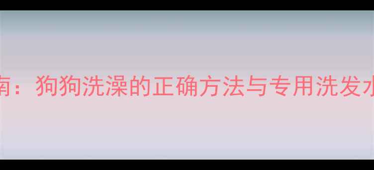 图片 科学护理指南：狗狗洗澡的正确方法与专用洗发水选择全攻略