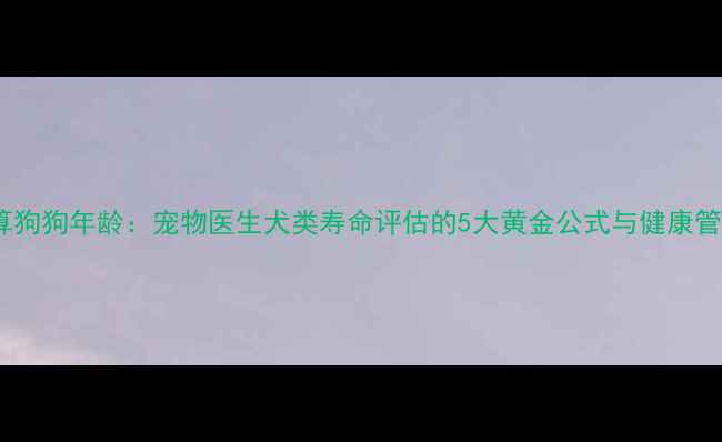 图片 科学换算狗狗年龄：宠物医生犬类寿命评估的5大黄金公式与健康管理指南1
