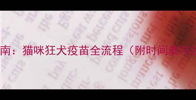 图片 科学接种指南：猫咪狂犬疫苗全流程（附时间表与注意事项）1