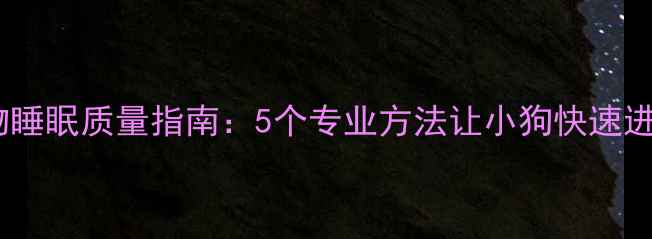 图片 科学改善宠物睡眠质量指南：5个专业方法让小狗快速进入深度睡眠1