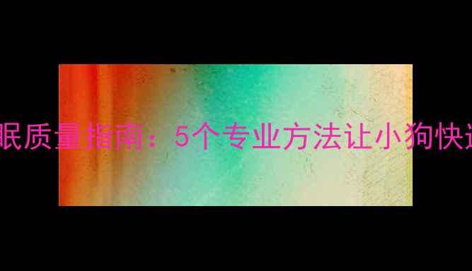 图片 科学改善宠物睡眠质量指南：5个专业方法让小狗快速进入深度睡眠2