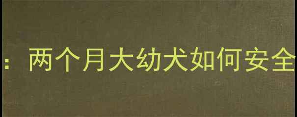 图片 科学补钙指南：两个月大幼犬如何安全高效补充钙质