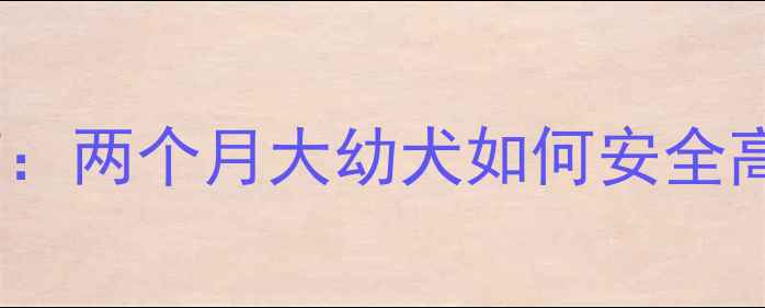 图片 科学补钙指南：两个月大幼犬如何安全高效补充钙质2