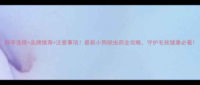 图片 科学选择+品牌推荐+注意事项！最新小狗驱虫药全攻略，守护毛孩健康必看1