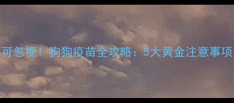 图片 科学防护不可忽视！狗狗疫苗全攻略：5大黄金注意事项及常见误区