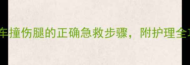 图片 紧急处理小狗被车撞伤腿的正确急救步骤，附护理全攻略🐾（附图）1