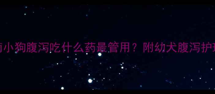 图片 紧急处理指南小狗腹泻吃什么药最管用？附幼犬腹泻护理全攻略🐾🏥