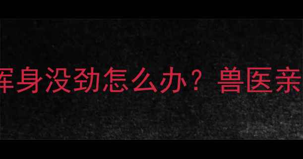 图片 紧急预警！小狗突然浑身没劲怎么办？兽医亲授5大原因+自救指南2