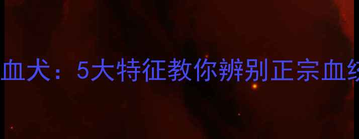 图片 纯种哈士奇VS混血犬：5大特征教你辨别正宗血统！附养护指南1