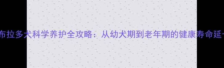图片 纯种拉布拉多犬科学养护全攻略：从幼犬期到老年期的健康寿命延长指南1