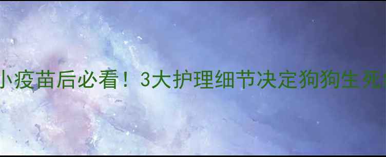 图片 细小疫苗后必看！3大护理细节决定狗狗生死线1