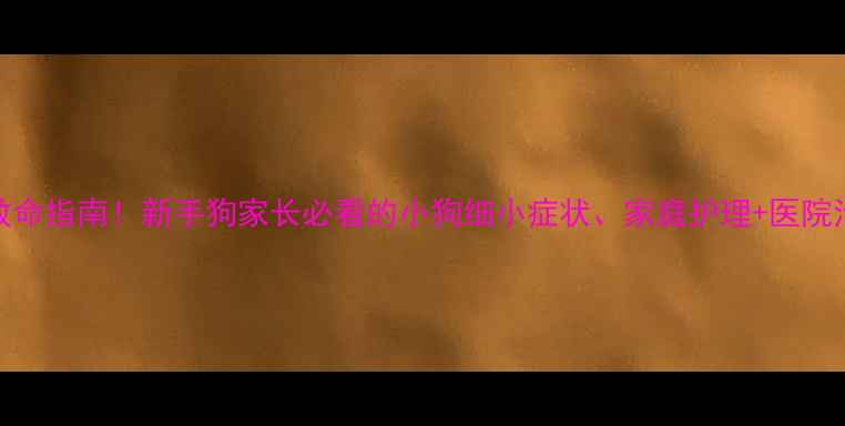 图片 细小病毒救命指南！新手狗家长必看的小狗细小症状、家庭护理+医院治疗全攻略