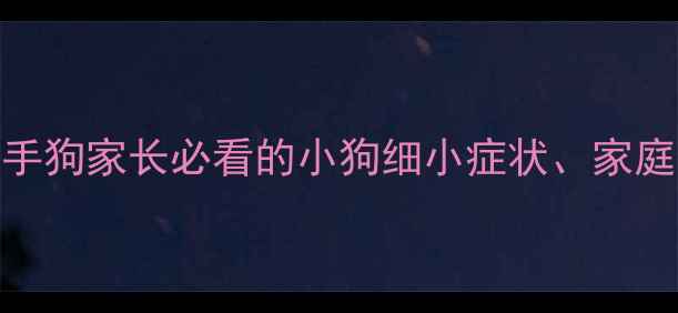 图片 细小病毒救命指南！新手狗家长必看的小狗细小症状、家庭护理+医院治疗全攻略2