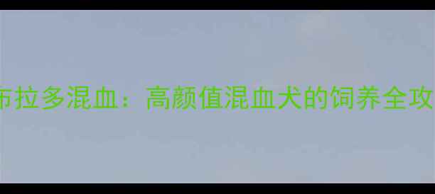 图片 细犬与拉布拉多混血：高颜值混血犬的饲养全攻略与品种1