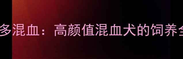 图片 细犬与拉布拉多混血：高颜值混血犬的饲养全攻略与品种2