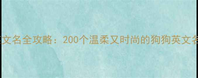 图片 给女生狗狗起英文名全攻略：200个温柔又时尚的狗狗英文名推荐+起名技巧
